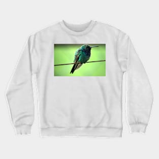 kli hummingbird Crewneck Sweatshirt